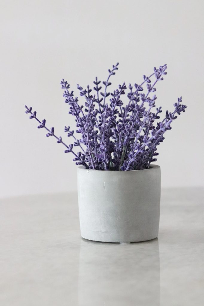 Aromatherapy Supporting ADHD and Autism